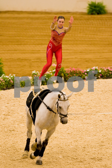 EQUINE VOLTIS76i