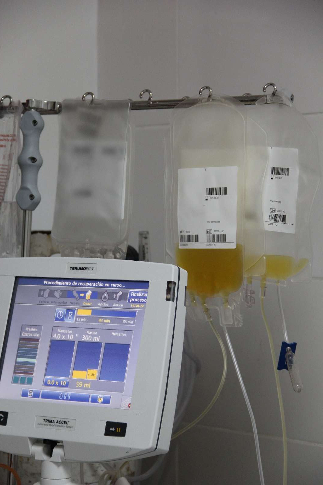 PLASMA ANALÍA3.jpg PLASMA ANALÍA3.jpg