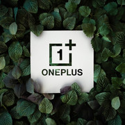 Oneplus-11