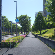 DSC-0016