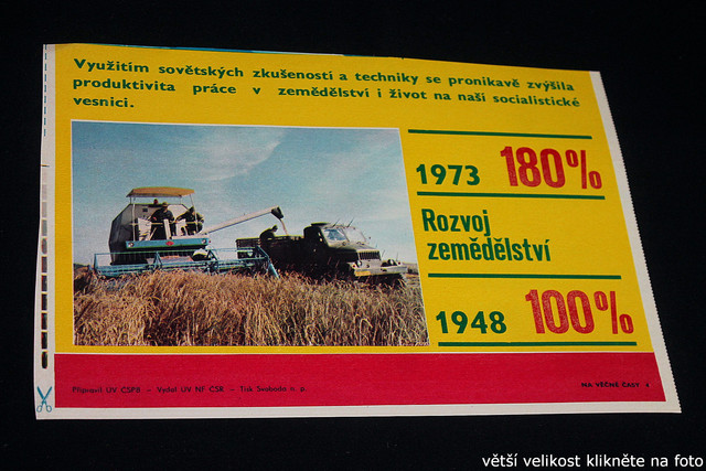IMG-8645.jpg