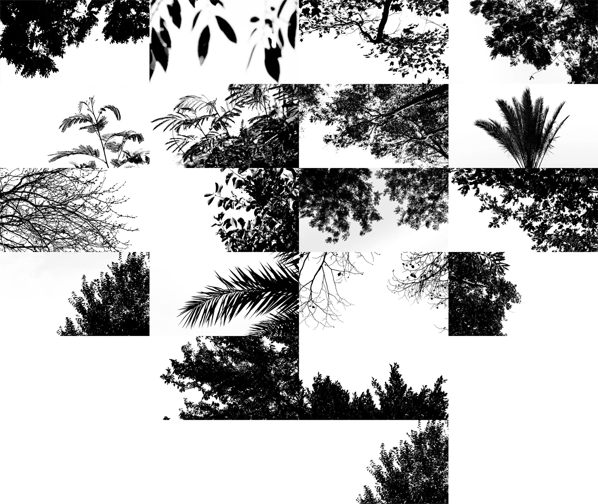 Animated Shadow Overlay Set - 5