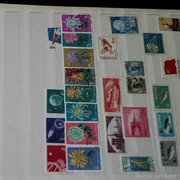 IMG-6953
