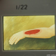 IMG-1210