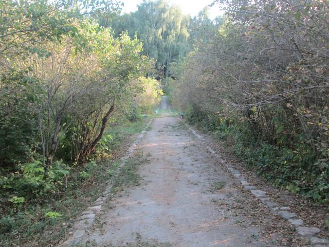 IMG 4825