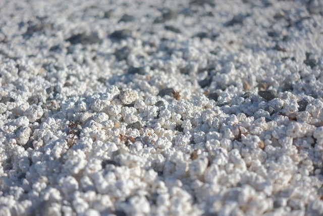 DSCF8488.jpg