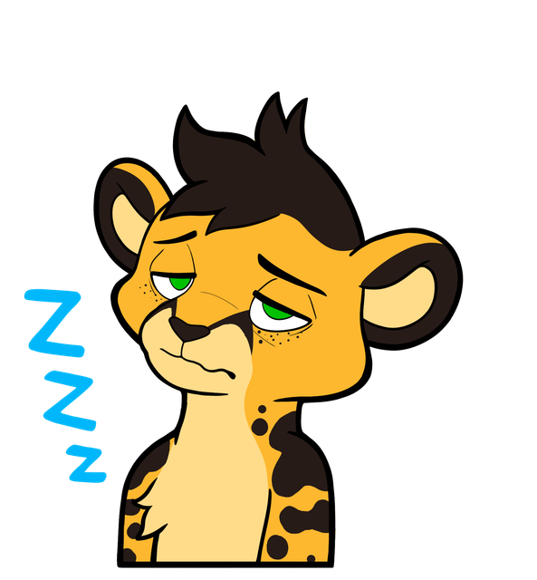 feline-zzz