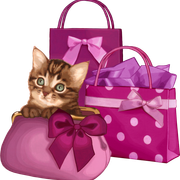 Woman-Accessories-2-81