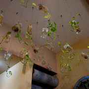 DSC08293