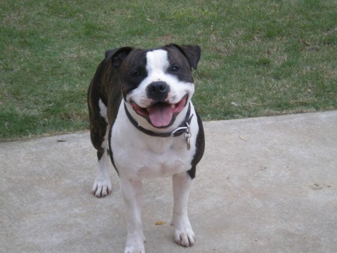 IMG-0386.jpg