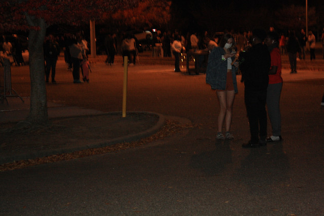 IMG-8363
