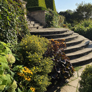 IMG-0585