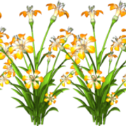 thflowers-012-1-1