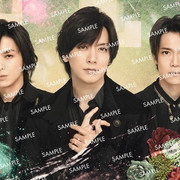 SINGLEZ postcard A