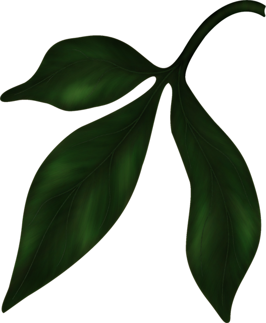 peonies-leaf1