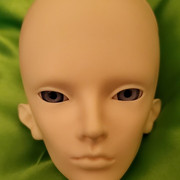 Asa-head-1