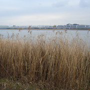 2009-03-01-31