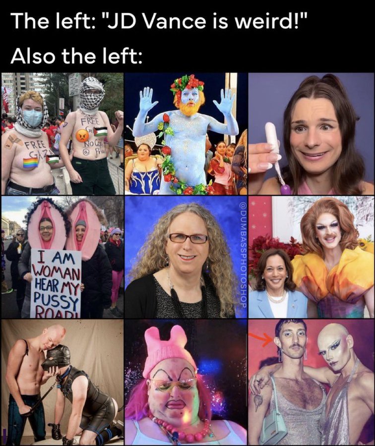 jdvanceweird2.jpg