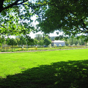 IMG-6216