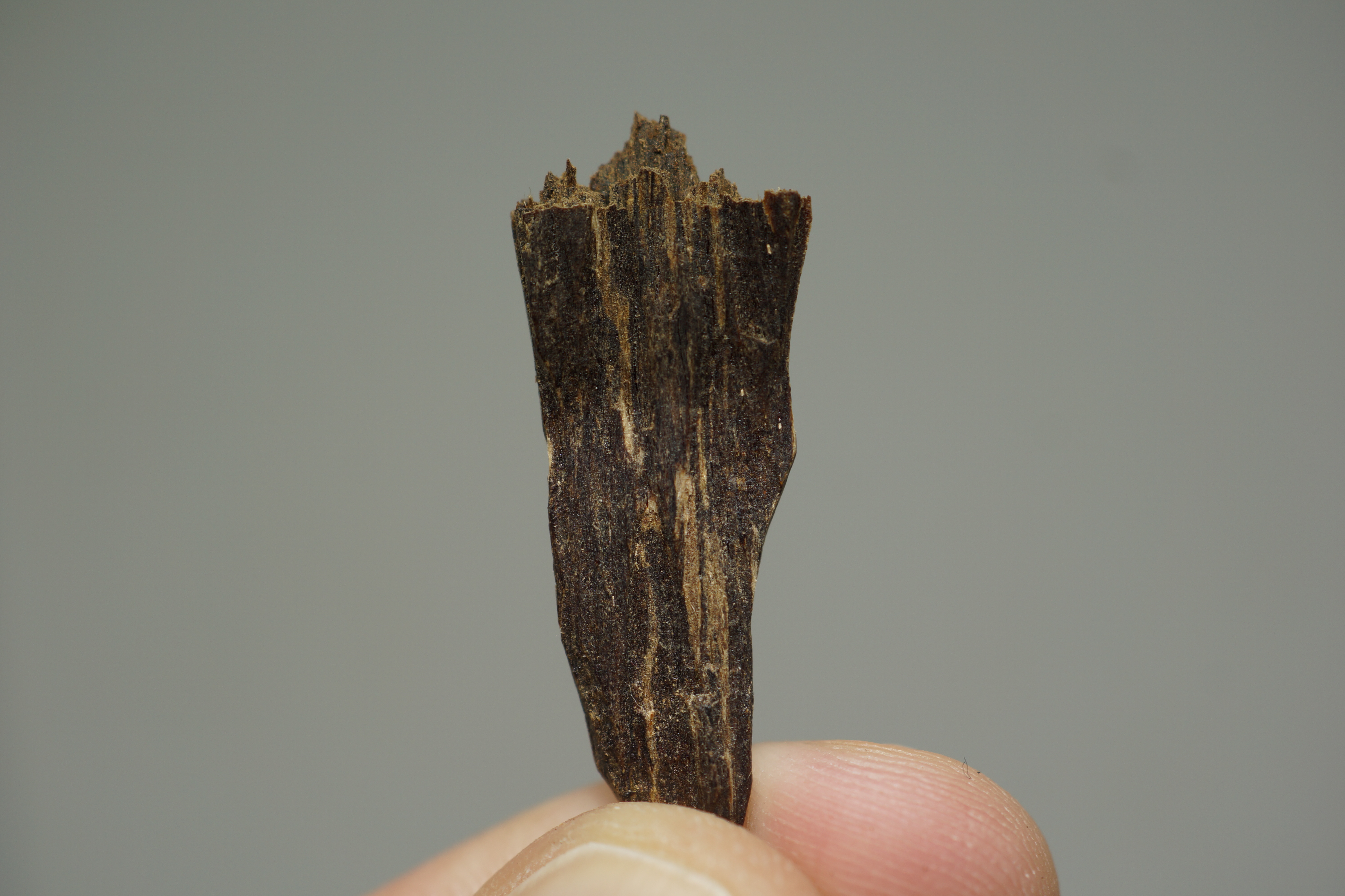 [Ouddict.com] Oud Photos