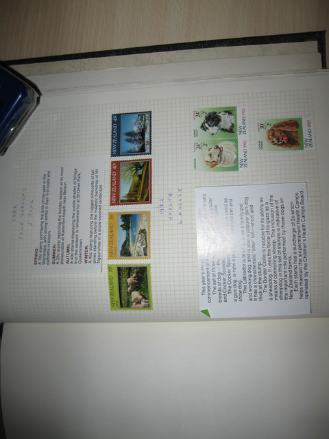 IMG 1135.jpg