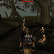 Walkthrough 47
