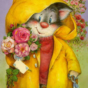 nalle