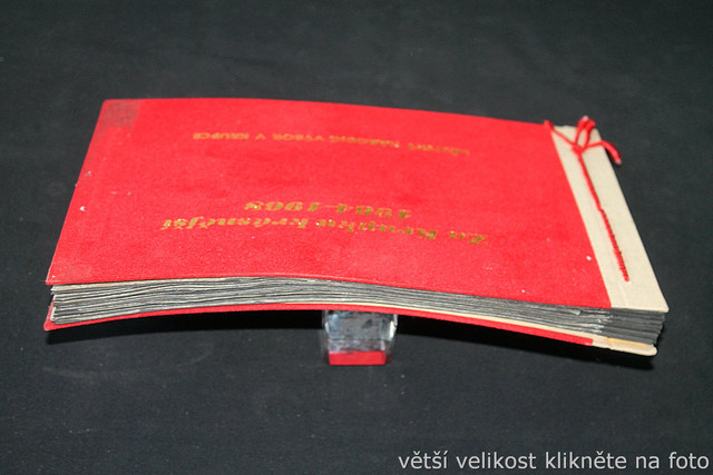 IMG-7597.jpg