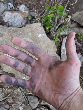 https://i.ibb.co/C8kdSWq/Hand.jpg
