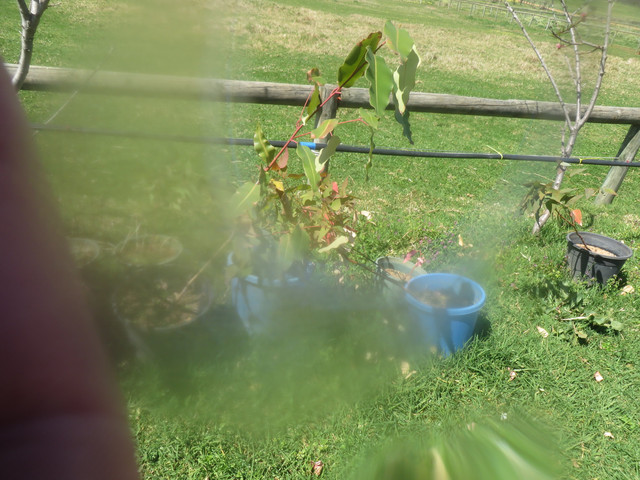 Img-2121-proc