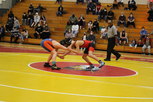 IMG-0115