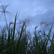 2009-10-10-36