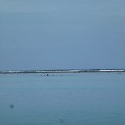 P1060448