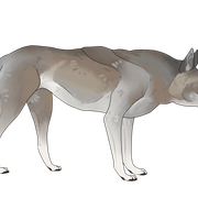 Sept-2020-slender-8