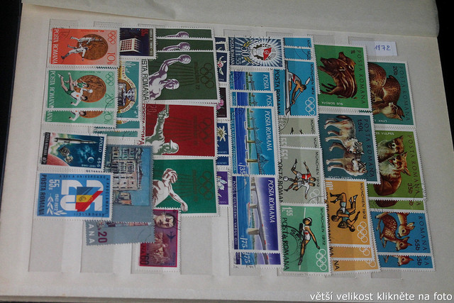 IMG-2556.jpg