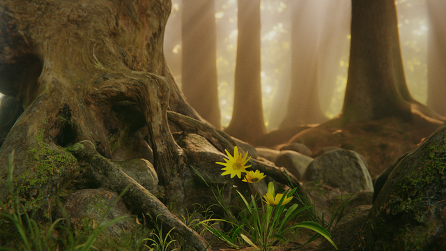 2019-Foret