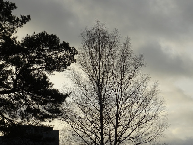 DSC09649.jpg
