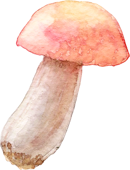 6-448.png