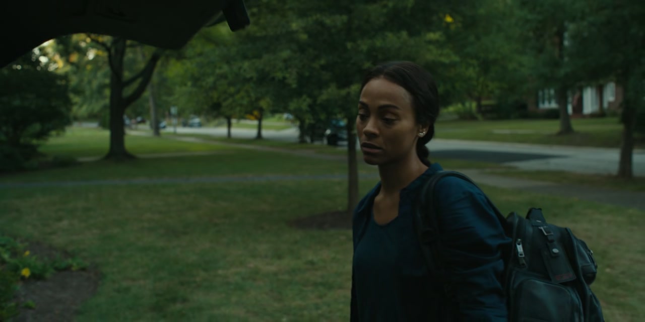 Lioness Screenshot