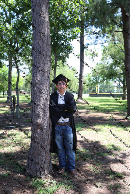 IMG 6174