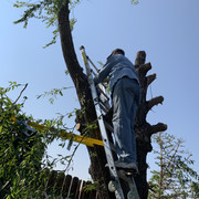 Motta Backyard (16)