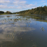 IMGP6520a
