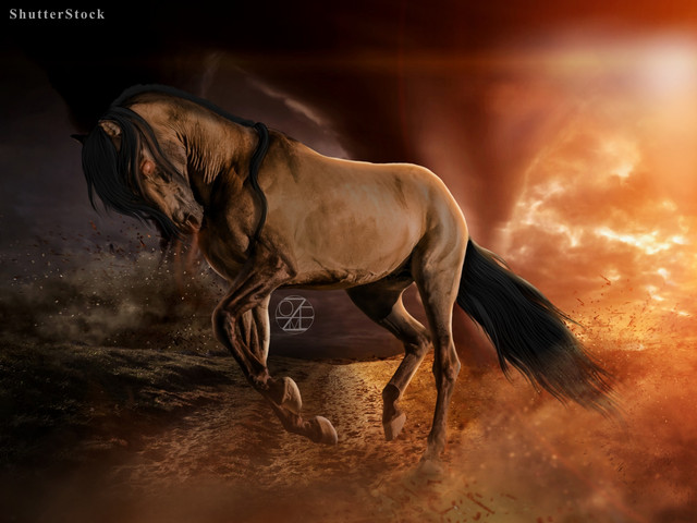 Webp-net-compress-image-8