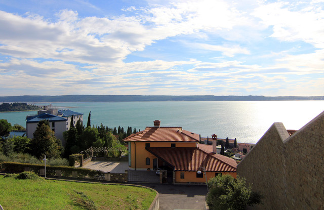 IMG-9858.jpg