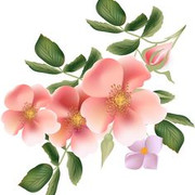 e97ccee4e0d42ed1e55bcf027bc703e1