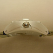 DSCN3984