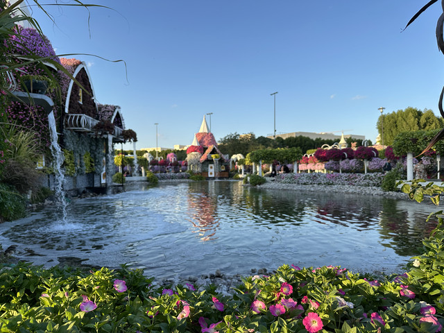 IMG-4224