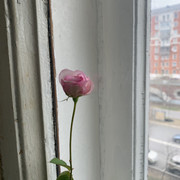 IMG-1595