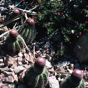 img012
