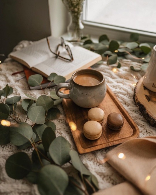 tumblr-1cf27f4ea9a4952ab1f12d60499c91a2-c7ea1fe3-540